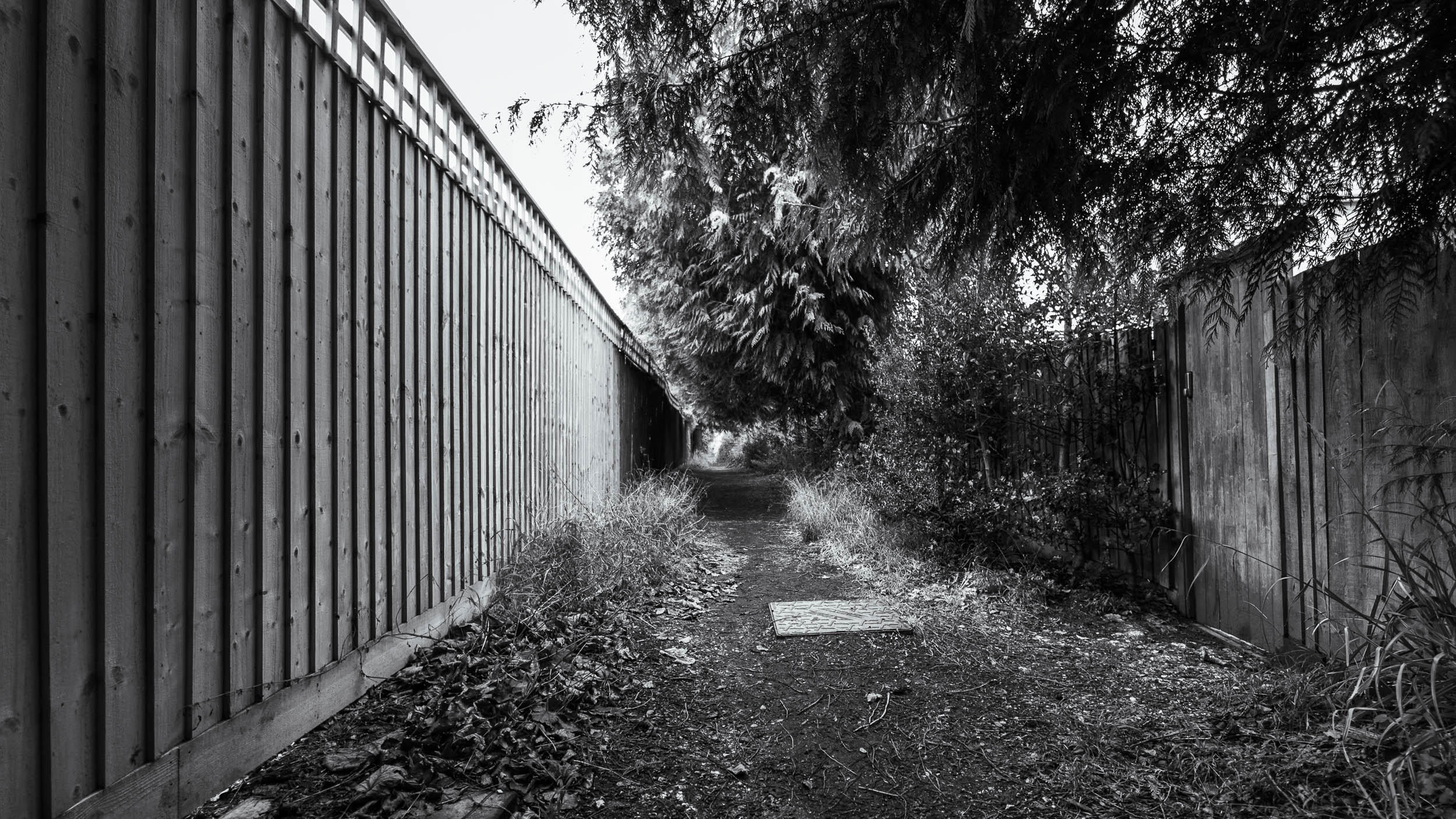 Black and white image of fence lined path overhung with trees and bushes.