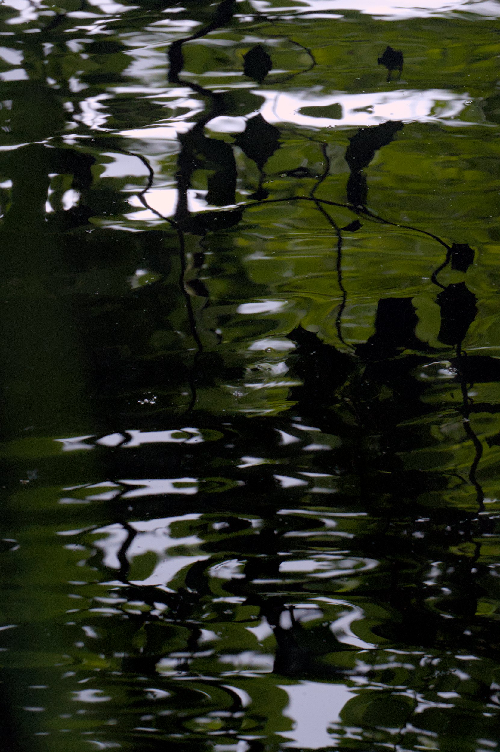 Devon Water